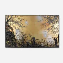 Stefan Sehler, untitled, 2008, reverse-painted oil and acrylic with resin on Plexiglas