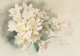 Paul de Longpré, Freesia, watercolor on paper laid down on board