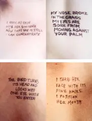 Jenny Holzer, Untitled (Selections from „Lustmord“ Text): English Version, 1994, 14 Cibachrome-Photographien, jeweils auf Aluminium kaschiert