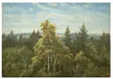 Carl Gustav Carus, Bewaldeter Abhang bei Pillnitz