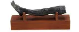 Joyce Treiman, Foot, 1969, Bronze on wood mount