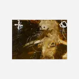 James Havard, Brown Figure, 1996, oil and wax on board