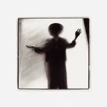 Silhouette by Keith Carter, 1994, toned gelatin silver print, sold Mar 2021