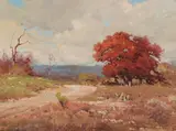 Robert William Wood, The road home