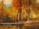 Robert William Wood, The old smokies