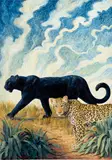 Antoinette Von Grone, A prowling panther and a cheetah, oil on canvas