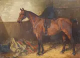 John Atkinson, Sudboro, a saddled and bridled bay hunter standing in a stall, oil on canvas