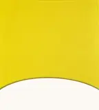 Erwin Wurm, Ohne Titel