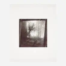 Keith Carter, Bullet Hole in Mirror, 1990, selenium-toned gelatin silver print