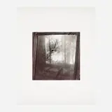 Keith Carter, Bullet Hole in Mirror