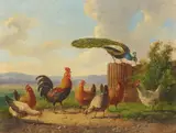 Albertus Verhoesen, Chickens and a peacock in a landscape