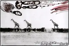 Peter Beard, giraffes in mirage on the Taru desert, Kenya, 1960, Silbergelatineabzug, 1990er Jahre