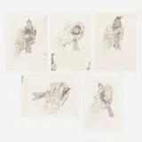 Kiki Smith, Bird in Hand suite, 2009, lithographs with colophon page and cover