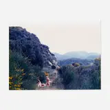 Justine Kurland, The Famiily