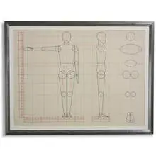 Erich Mrozek, Anatomical Drawing, c. 1928, tempera on paper