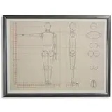 Erich Mrozek, Anatomical Drawing, c. 1928, tempera on paper