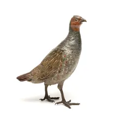 Franz Xavier Bergman, large cold painted bronze model of an English Partridge, cold painted bronze