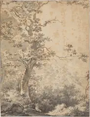 Adam Pynacker, Landschaft mit Baum, Um 1660, Tuschfeder in Schwarz und Braun über Bleistift, grau laviert, auf Bütten (Wasserzeichen: gekröntes TIHS (ligiert))