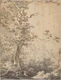 Adam Pynacker, Landschaft mit Baum, Um 1660, Vorzeichnung in Graphit; Feder, braune Tinte, Pinsel in Grau, grau laviert auf Bütten (doubliert)