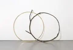 Alicja Kwade, Adoption of specific properties, 2016, Holz und Messing