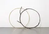 Alicja Kwade, Adoption of specific properties