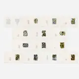 Elizabeth Murray, Her Story portfolio, lithographs with etching