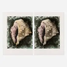 Lost Shells (diptych) by Jim Dine, 1985, etching with dry-point and hand-coloring, sold Feb 2021