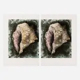Jim Dine, Lost Shells (diptych), 1985, etching with dry-point and hand-coloring