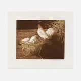 Jamie Wyeth, White Leghorns, 1981, etching in colors