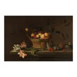 Jacob Marrel, Nature morte avec un panier de fruits, des coquillages et un lézard, oil on panel
