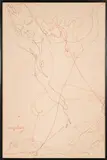 Jean Negulesco, Untitled, 1955