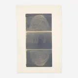 Robert Rauschenberg, The Razorback Bunch (Etching II), 1980, photoetching