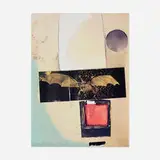 Robert Rauschenberg, Rays, 1973, offset lithograph and screenprint in colors