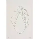 Pear I by Ellsworth Kelly, 1964-1966, lithograph on paper, sold Feb 2011
