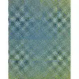 Tauba Auerbach, Untitled (Fold), 2009, screenprint on paper