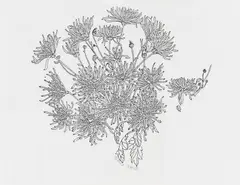 Chrysanthemums by Ruth Asawa, sold Dec 2022