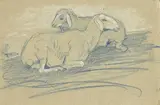 Franz Marc, Zwei liegende Schafe II