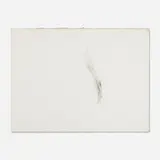 Alan Saret, Narrow Leaf Dam Rise Encounter, 1983, graphite and colored pencil on paper
