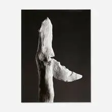 Erin Shirreff, Knife, 2008, black and white archival pigment print