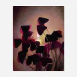 T.M. Davy, Candela (Oxalis), 2013, oil on linen