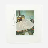 Kiki Smith, Turtle