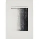 Jasper Johns, Ruler