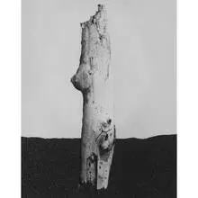 Peter Campus, Stick, 1991, digital c-print