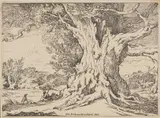 William Alfred Delamotte, Landscape