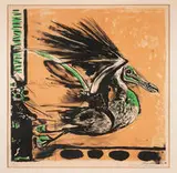 Graham Sutherland, Untitled (Phoenix Bird), Lithograph