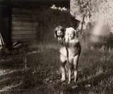 Jock Sturges, Holly and Fan Chen; Northern California, 1978