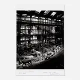 Matthew Pillsbury, La Grande Galerie de l’Evolution from the Time Frame series, 2008, archival inkjet print