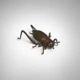 Yasunosuke, Rare articulated (jizai) okimono of a cricket