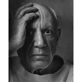 Arnold Newman, Picasso