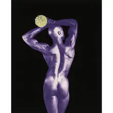 Untitled (Ken Moody) by Robert Mapplethorpe, 1985, photogravure on paper, sold Sep 2010